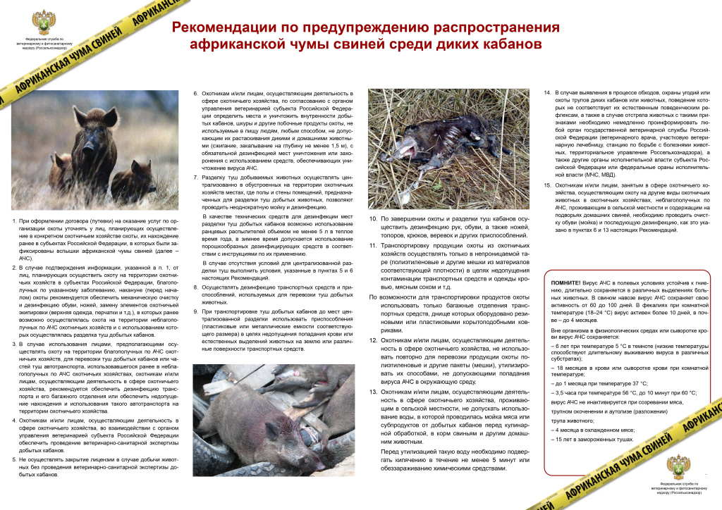 АЧС 4.jpg